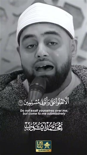 😱😍 Most Beautiful ! Quran Recitation Mohammad Ayyub | Surah Al-Naml: 29-31 | برنامج محفل | #solo