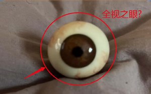 不管你问什么，万能网友都能为你解答！（66）