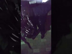 悪質な職務質問