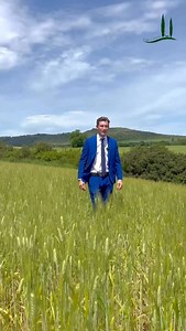 Stunning Villa for sale in Tuscany🏡🇮🇹 Nestled in the Tuscan hills, this elegant villa offers a serene blend of privacy and convenience just minutes from Campagnatico. Set on one hectare with more than 80 olive trees, the property features 270 square meters of refined living space. A striking cypress-lined driveway leads to an airy 80-square-meter living room filled with natural light. Four spacious bedrooms ensure comfort for residents and guests alike. 🤩🇮🇹 Outdoors, a private pool overloo