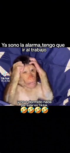 Videos de mr.wilsondjf.xx1 (@mr.wilsondjf.xx1) con “sonido original - mr.wilsondjf.xx1”