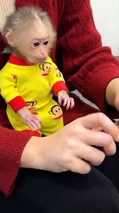 77K views · 1.1K reactions | Lala enjoys a breakfast full of love with Mom and Siba after many days apart! #Kakavideo | Kaka Video | Facebook