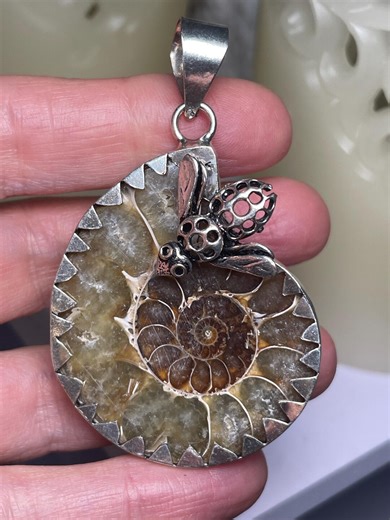 Large Ammonite Fossil Pendant in Sterling Silver 925 With Bee - Etsy