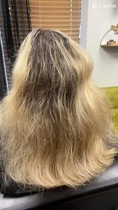 ☀️➡️🍁 Summer hair had its moment, but fall is calling. Loving this transition from light frizz to smooth, dimensional warmth that’s ready for pumpkin spice season. | Hair by Leah