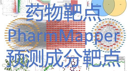 6. 药物靶点，PharmMapper，预测成分靶点，网络药理学/网络毒理学/分子对接/分子动力学模拟/逆向网络药理学/生物信息学