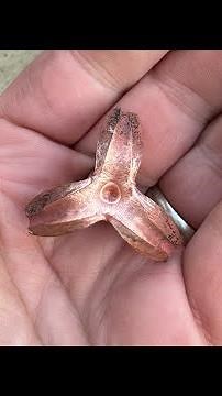 500 grain Suppressed Subsonic 45-70