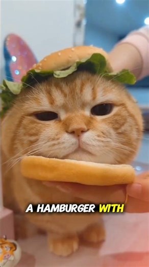 HILARIOUS GINGER CAT COMPILATION OF FUNNY AND DANCING CAT - FUNNY ANIMALS FOR YOU #shorts #cats