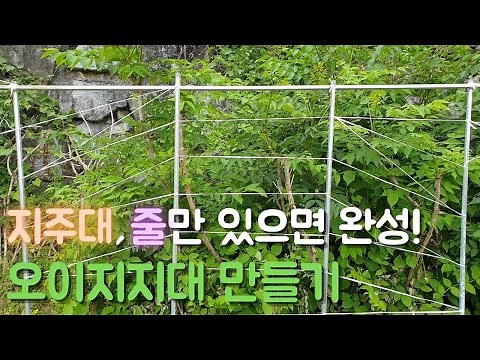 간단하면서도 튼튼한 오이지지대 DIY 만들기