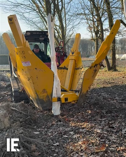 476K views · 1.6K reactions | A tree spade safely transplants trees by digging and lifting them with their roots and soil intact.  baumschule_schubert / IG | Interesting Engineering | Facebook