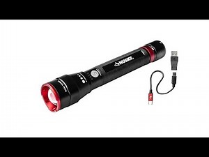 Husky dual power flashlight
