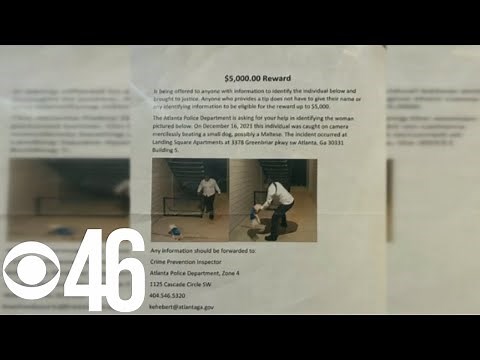 Outraged animal lovers help catch woman seen on video abusing small dog