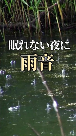 眠れない夜に 🌧️ 聴くだけで deep sleep へ誘う雨の音 | 睡眠用 BGM・不眠解消・心のリラックス#Shorts#雨の音 #睡眠用bgm