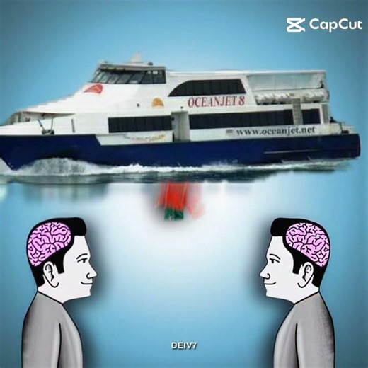 starlite ferrise❎oceanjet✅