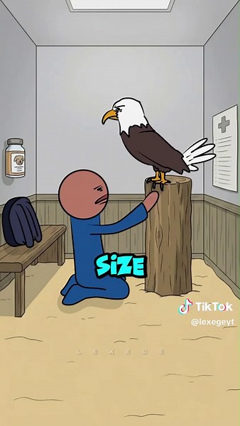 Boy finds injured eagle and this happens #rescue #emotional #animals | animal rescue