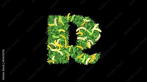 Botanical Alphabet Typography: Letter 'R' in Banana with leaves and Branches, This video offers a captivating blend of typography and nature.