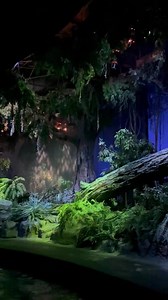 Living with the land rainforest scene. Some new rain projecters. Its been a few months but these lightning spotlights are soooo bright 📷Kdodgers24👈👈 | Disney World Packages -Orlando Florida
