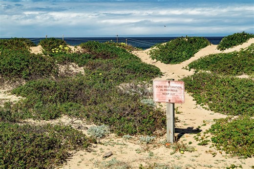 How California’s Sue-Happy Homeowners Threaten the State’s Iconic Public Beaches
