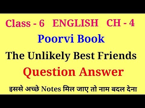 the unlikely best friends question answer