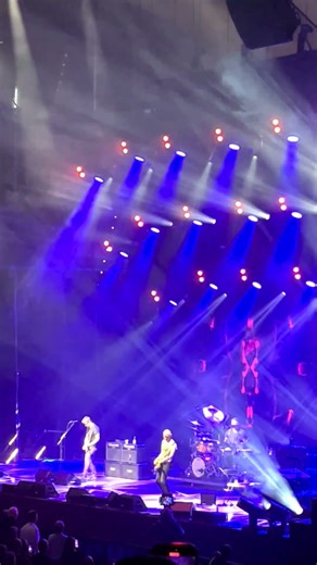 When music becomes magic… Sting – Desert Rose (Live 3.0) 🌹🔥 #stinglive #sting#shorts