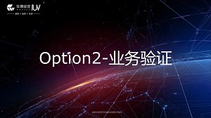 20)Option2-业务验证