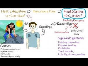 Heat exhaustion - Symptoms and treatment how to avoid? "sun stroke"