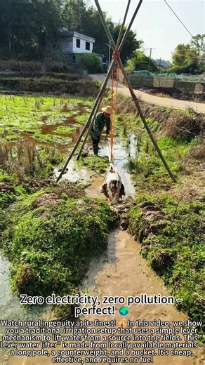 Simple Lever Pumps Water for Thirsty Crops! 💧🌱