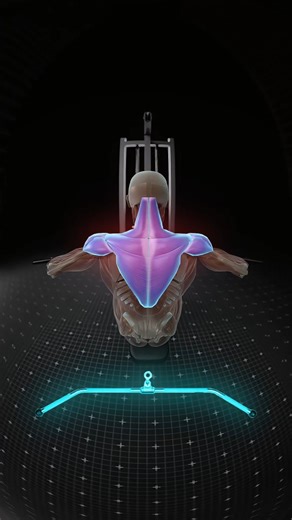 💥 Wide bar rows hit the upper lats and traps for that wide, flared back look. V-bar rows shift the tension deep into the inner lats and mid-back. Choose the grip that builds the back you want and stay consistent. #backworkouts #lats #gymtips #Synermuscle #fitnesstips #rows #backday #workoutguide | SynerMuscle