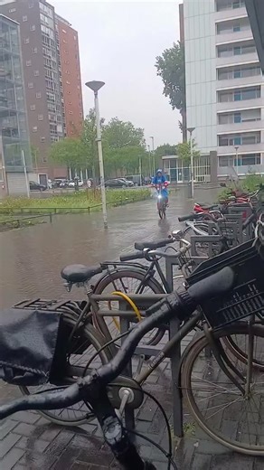 Instagram video by Pog_memes__ • Sep 23, 2025 at 9:46 PM