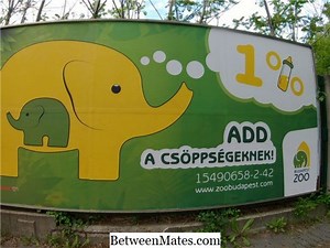 Különbség NTSC, PAL és SECAM között A különbség - Mások 2026