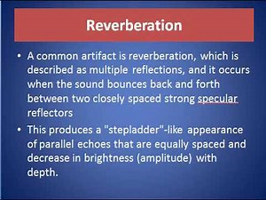 Reverberation Ultrasound Image Artifact
