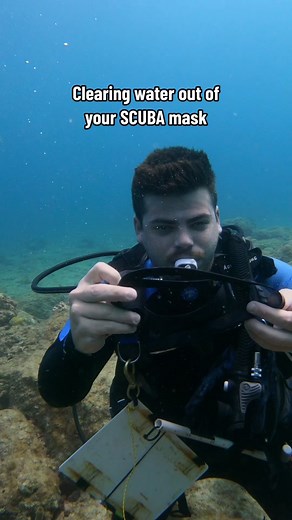 Can you open your eyes under water? How about fix a flooded mask? Well in this video we’ll learn how to clear our mask if its full of water! #fyp #scubadiving #viral #marinebiologist #padi #fypシ #diving #scuba #scubatiktok #howitworks #skills #teachmehow #howto #howtotiktok #scubamask #diveskills @PADI @GoPro