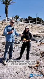 7.1K views · 318 reactions | If this seaweed wrestler had R1 million, she’d buy a chicken farm and call it ‘cardio’.  Every big dream starts small. Yours could start with a Montego Classic Purchase! Dream big and enter: ✅ Buy any Classic Dry Food ✅ Scan the QR code on-pack or dial *120*84437# ✅ Or enter online: https://clny.co/montego Ts & Cs apply. #MontegoClassic | Montego Pet Nutrition | Facebook