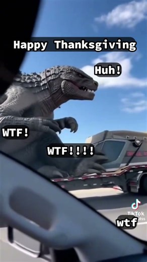 wtf is that for real