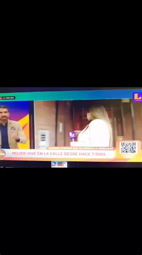LESLIE SAMANTHA ALLISON CASTELLANOS ALVA y MAGGIE NADINA ALVA CUNEO me han denunciado por supuesto acoso e incumplimiento de Medidas de protección y CLAUDIA CRISTINA CASTELLANOS ESPERICUETA de supuestamente golpear a mis ex arrendadoras. Se comprobó que MAGGIE NADINA ALVA CUNEO y LESLIE SAMANTHA ALLISON CASTELLANOS ALVA incitaron a mis arrendadores que me boten a la calle. WILLIAM OSCAR ahora llamado OSCAR WILLIAM CASTELLANOS PANTOJA y su esposa SOLEDAD AURORA ESPERICUETA PAREDES botaron a un fa