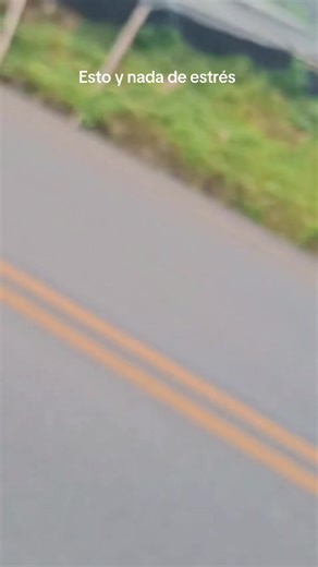 Videos de Flordelina (@florwens) con “original sound - Music Lyrics🎶”