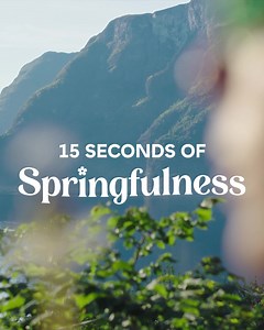 47 reactions | Blooms! Birds! Bees! Embrace spring in Norway's famous fjords this year  #springfulness | Visit Norway | Facebook