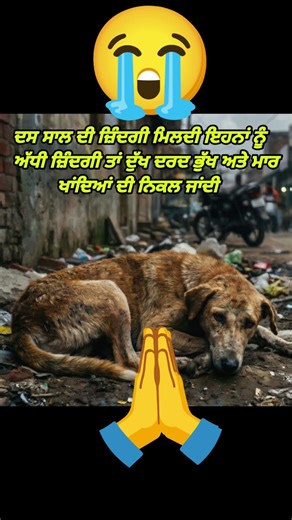 Ludhiana #motivation #liveshaheedisamagamgurudwarachamkaursahib #today_breaking_news