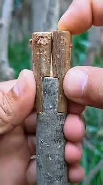 Master the Art of Grafting: 3 Pro Techniques for Your Garden