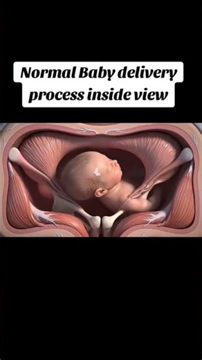 Normal delivery hospital life #doctor #deliveryfail #delivery