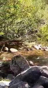 2.1K views · 70 reactions | Ríos de Córdoba... | Radio De Folklore | Facebook