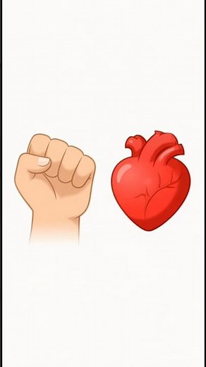 How Your Heart Works ❤️ | Fun Science for Kids #usa #scienceforkids #usayoutube