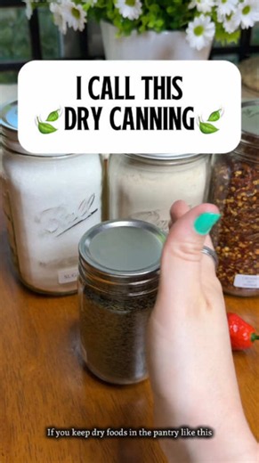 A practical food preservation idea for everyday living