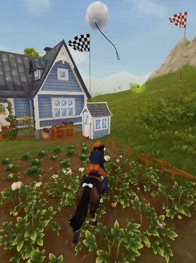 chill champ with my silly balloon 🎈 . . . . . . . . . Silverglade Championship shortcuts race #sso #starstable #horsegame #horse #starstableonline