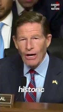 Hegseth vs Blumenthal ‘You Missed It!’ Fiery Senate Exchange Caught on Camera