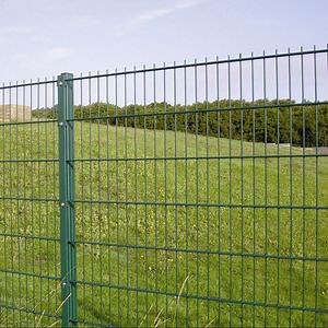 [Hot Item] 656 & 868 Security Fence Panels Heavy-Duty Security Twin Wire Mesh Security Boundary Fence