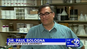 Sea lice invading Gulf Coast beaches