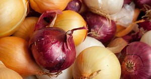 Pourquoi devrait-on cuisiner l’oignon rouge plutôt que l’oignon blanc ?