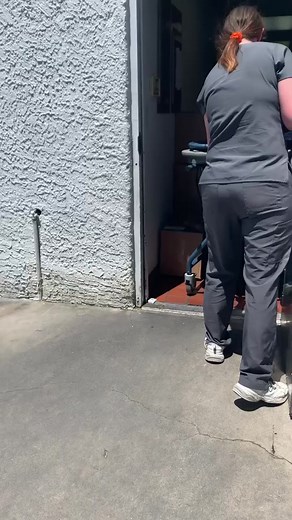 Adonis was dumped on the hot streets of Las Vegas this summer. We ran to help him! 💔. #survivor #dumpeddog #dumped #rescuedog #Adonis #safeandsound #stopanimalabbuse #onwardandupward #nomore