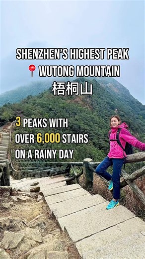 Wutong Mountain | Shenzhen’s highest peak with over 6,000 stairs | 深圳梧桐山行山路線介紹