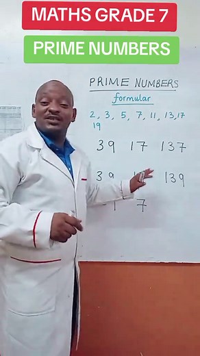 Understanding Prime Numbers: A Comprehensive Guide